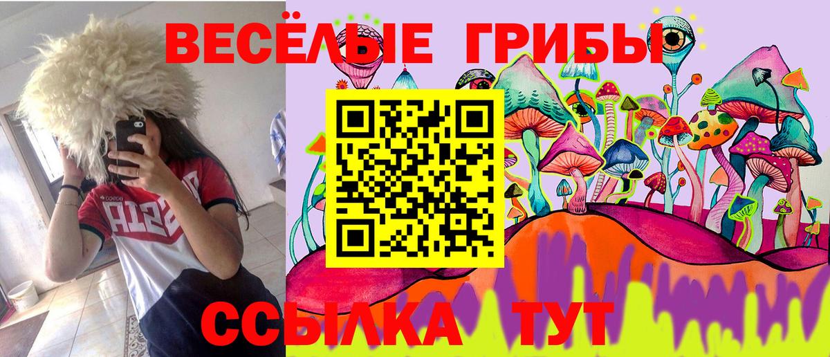 Галлюциногенные грибы Cubensis Волгоград