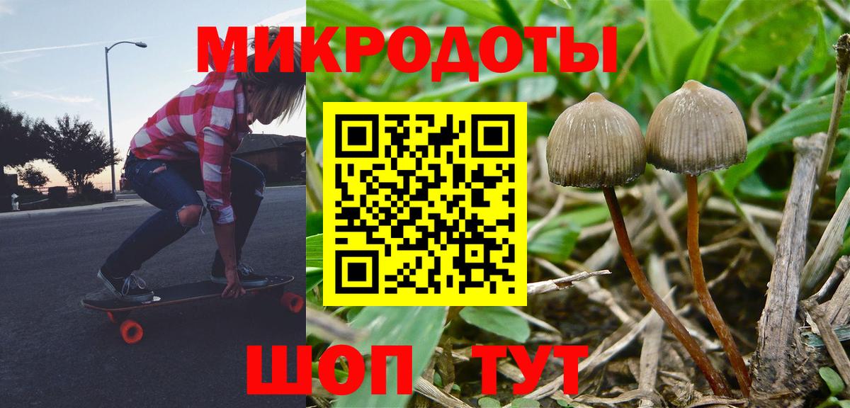 Галлюциногенные грибы Psilocybine cubensis  Вход с VPN  Волгоград  Галлюциногенные грибы Magic Shrooms 