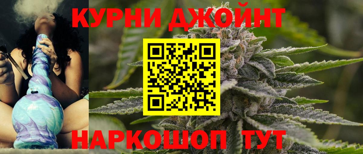 Каннабис OG Kush Волгоград